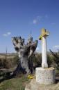 Cruz de la Ermita del Cristo de la Vega